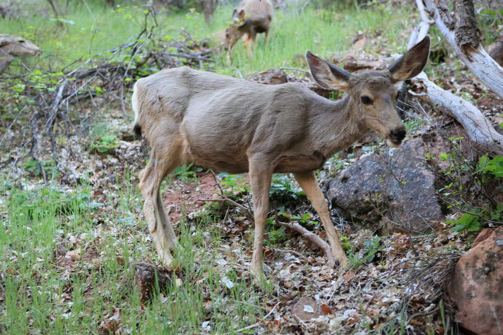 USA - der Westen 2013